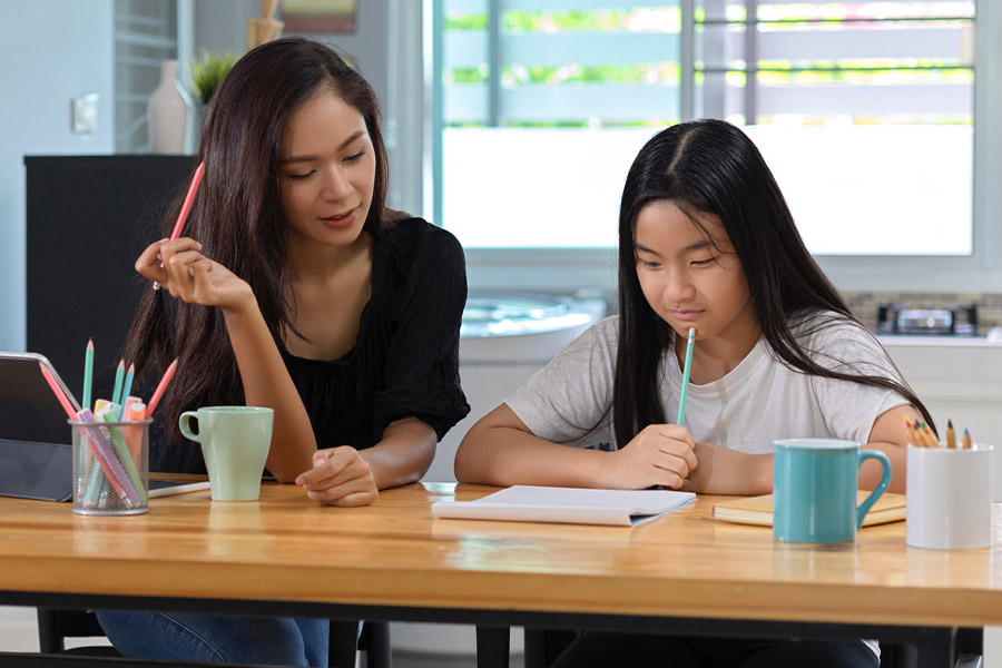 student and tutor together at a desk in Washington DC